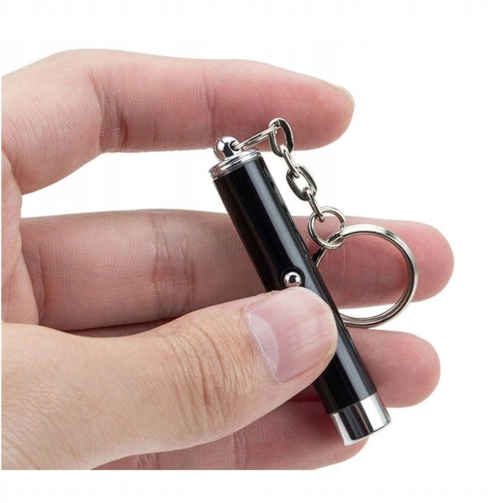 Wskaźnik laserowy Laser Pointer 4w1 Do prezentacji Zabawka dla kota Latarka
