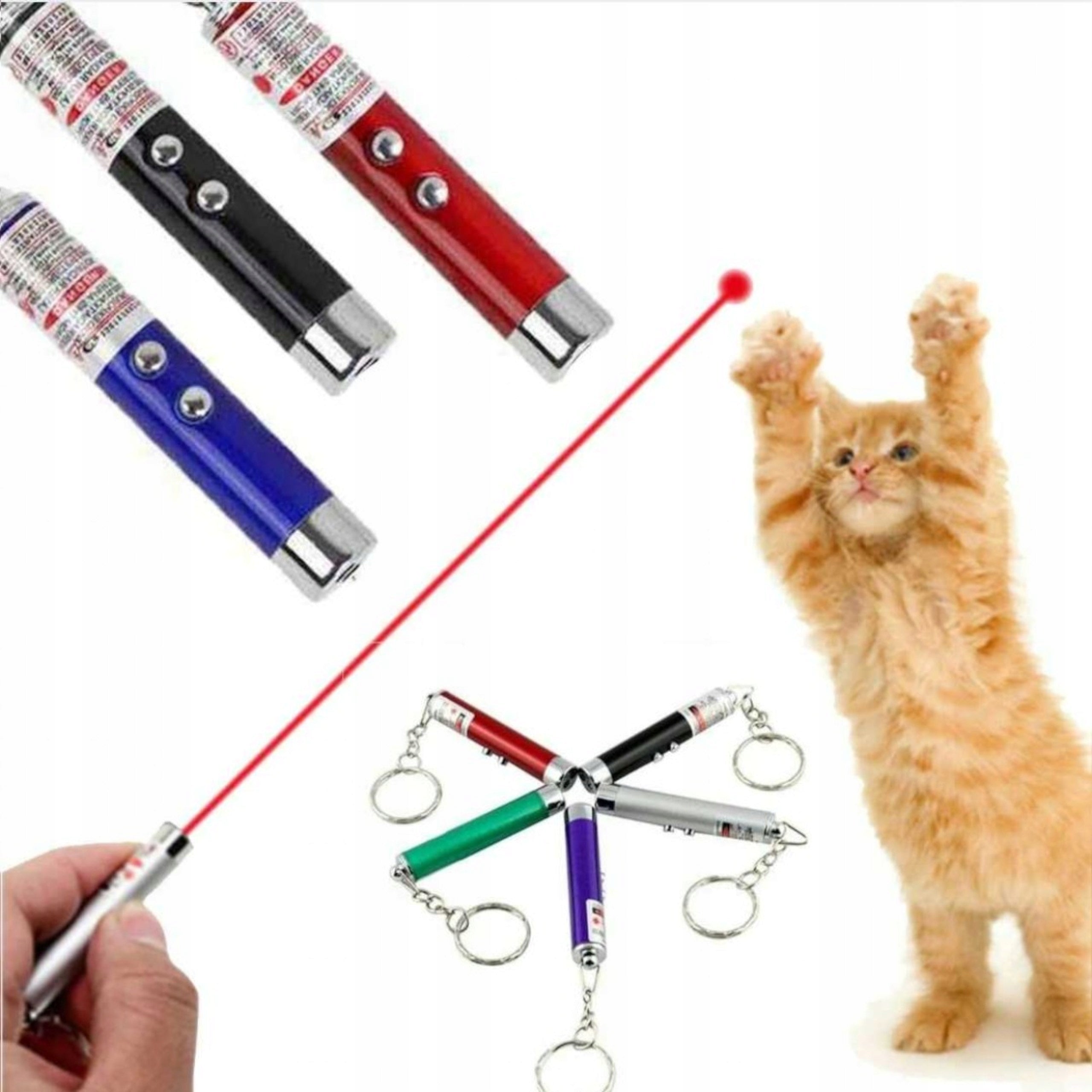 Wskaźnik laserowy Laser Pointer 4w1 Do prezentacji Zabawka dla kota Latarka